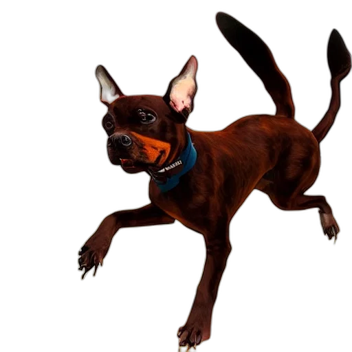 animal, creature, staff, photorealistic, 3d render, concept art, flying, dog transparent PNG cut-out