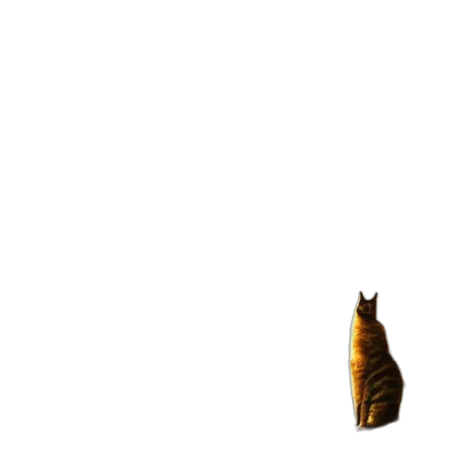 animal, creature, dress, staff transparent PNG cut-out