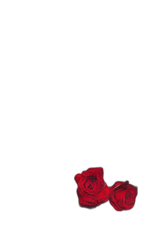 shoes, flower, dress, crown transparent PNG cut-out