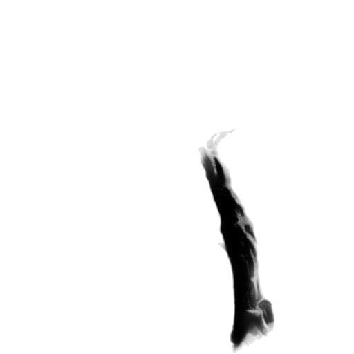 hair, sword, staff, creature, pencil sketch, photorealistic, concept art, comic book art transparent PNG cut-out