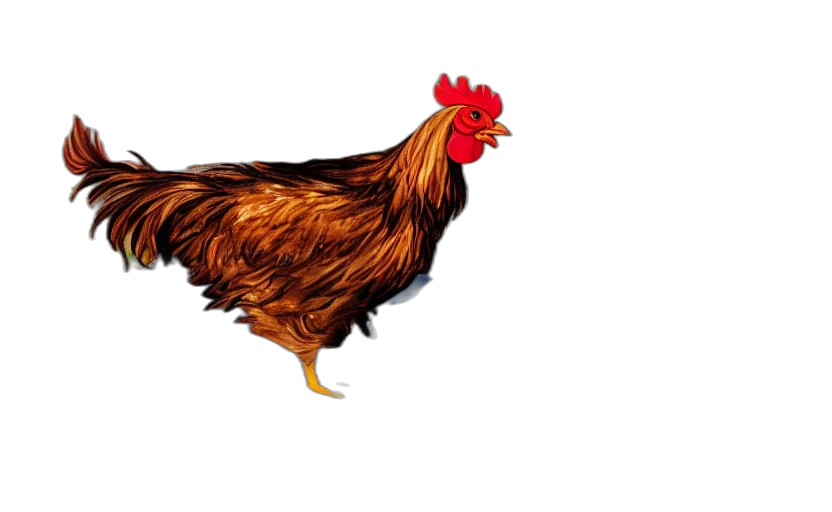 animal, food, dress, weapon transparent PNG cut-out