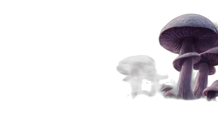 hat, mask, creature, robot, concept art, 3d render, photorealistic, watercolor transparent PNG cut-out