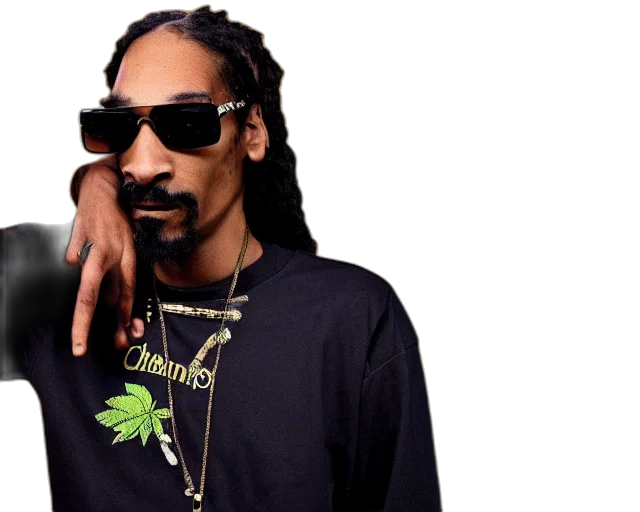 champion, splashart, snoop, dog transparent PNG cut-out