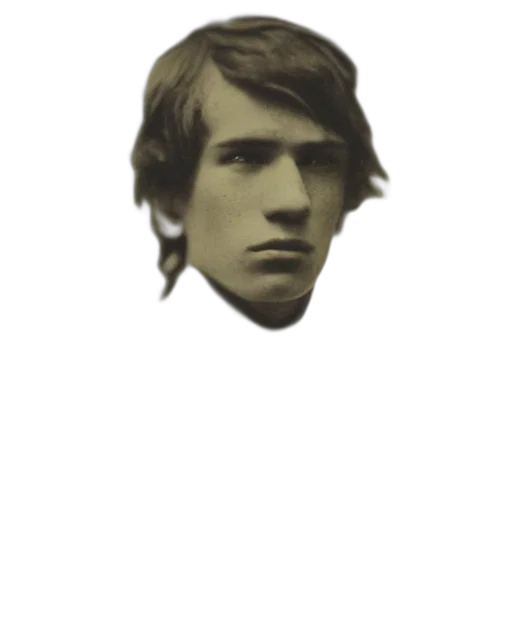 face, hair, mask, crown, photorealistic, pixel art, vaporwave, concept art transparent PNG cut-out