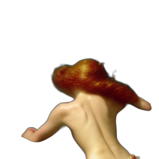 hair, creature, hat, animal transparent PNG cut-out
