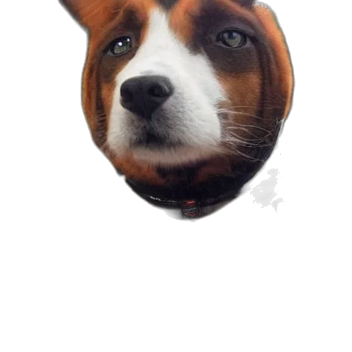 animal, face, creature, mask, photorealistic, 3d render, cartoon, oil painting transparent PNG cut-out