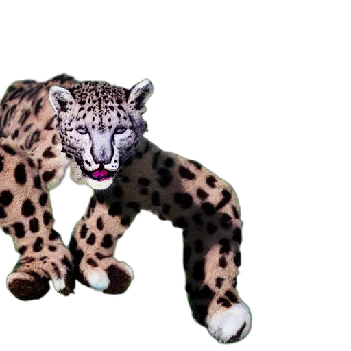 animal, creature, weapon, shoes transparent PNG cut-out