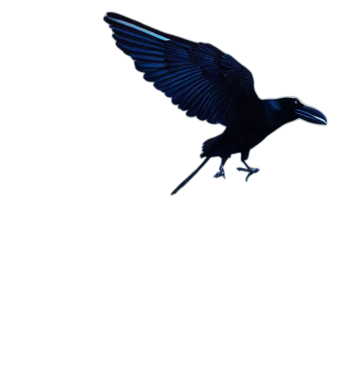 dragon, animal, umbrella, creature, concept art, pixel art, photorealistic, 3d render transparent PNG cut-out