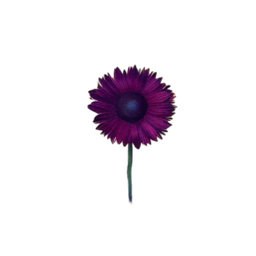 flower, staff, umbrella, weapon transparent PNG cut-out