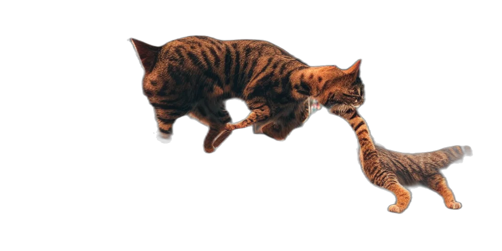 animal, staff, creature, weapon transparent PNG cut-out