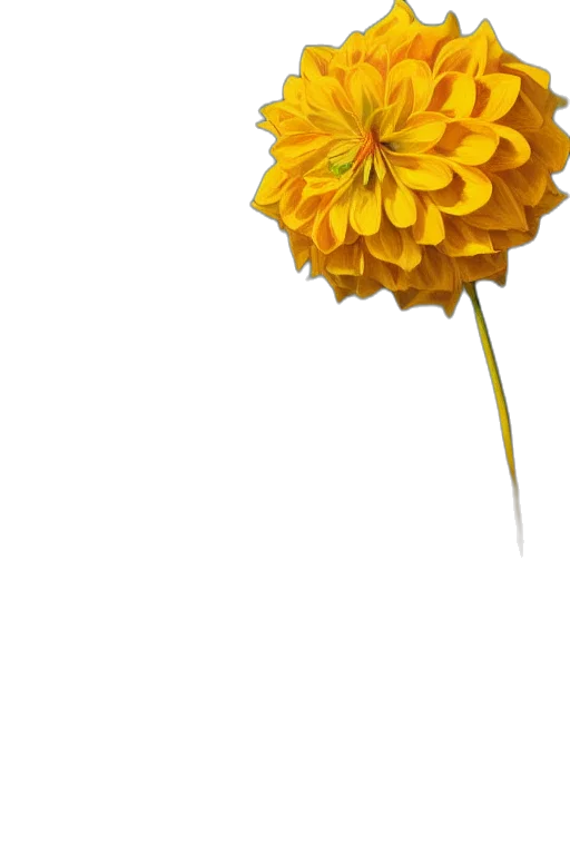 flower, crown, umbrella, staff, photorealistic, 3d render, pixel art, concept art transparent PNG cut-out