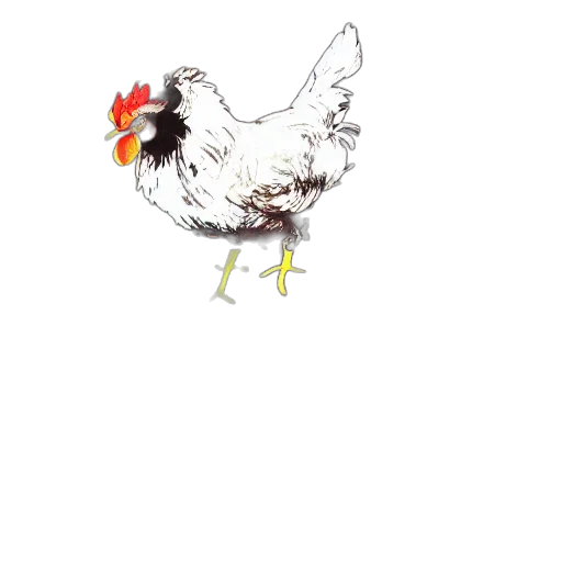 animal, food, dress, creature transparent PNG cut-out