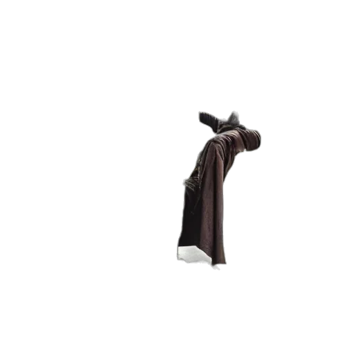 dress, jacket, staff, umbrella transparent PNG cut-out