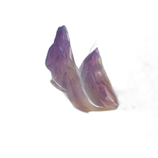 hair, crown, flower, food transparent PNG cut-out
