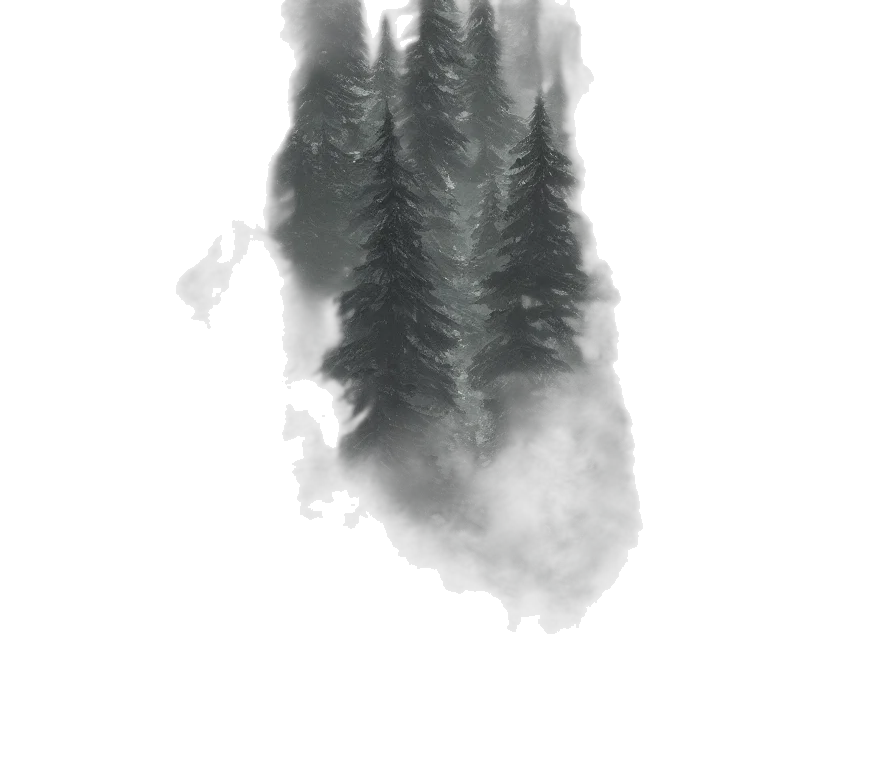 tree, dragon, creature, face, concept art, fantasy art, photorealistic, watercolor transparent PNG cut-out