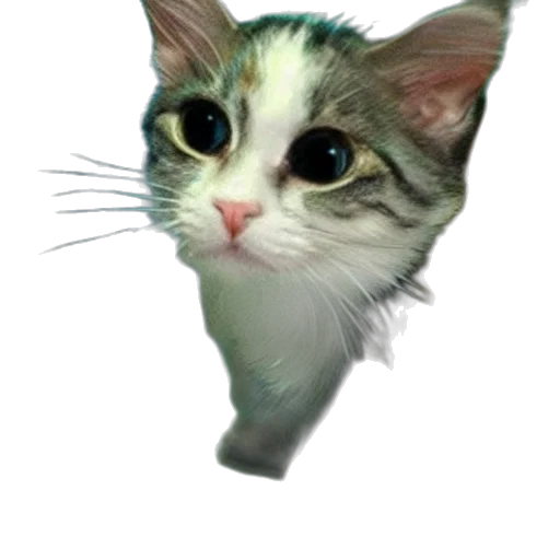 animal, staff, creature, face transparent PNG cut-out