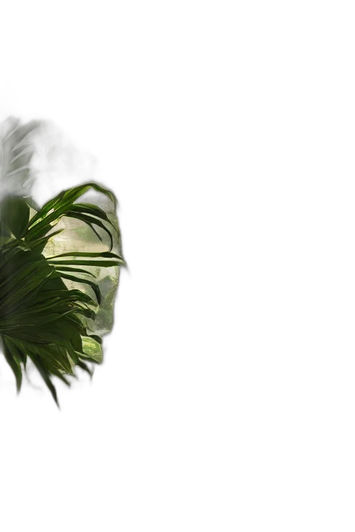 hair, tree, hat, mask, 3d render, photorealistic, concept art, forest transparent PNG cut-out