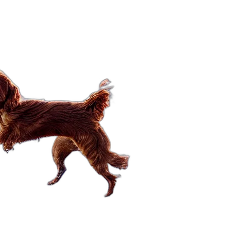 animal, creature, hair, staff, photorealistic, 3d render, pixel art, concept art transparent PNG cut-out
