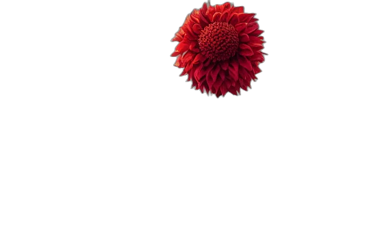flower, crown, hair, staff, photorealistic, 3d render, pixel art, concept art transparent PNG cut-out