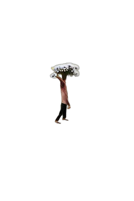 umbrella, hat, flower, staff, concept art, 3d render, pixel art, photorealistic transparent PNG cut-out