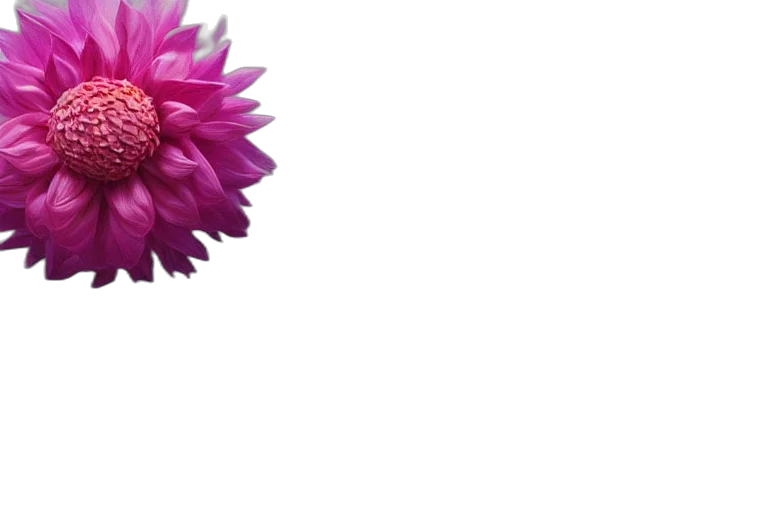 flower, crown, umbrella, jewelry, photorealistic, 3d render, pixel art, vaporwave transparent PNG cut-out