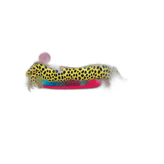 shoes, hat, animal, jewelry transparent PNG cut-out