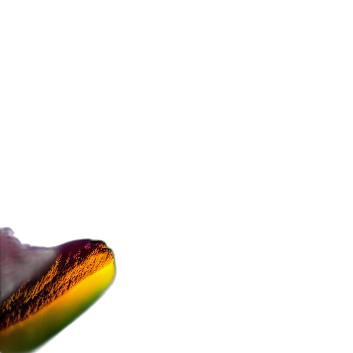food, shoes, dragon, hat, photorealistic, 3d render, concept art, vaporwave transparent PNG cut-out