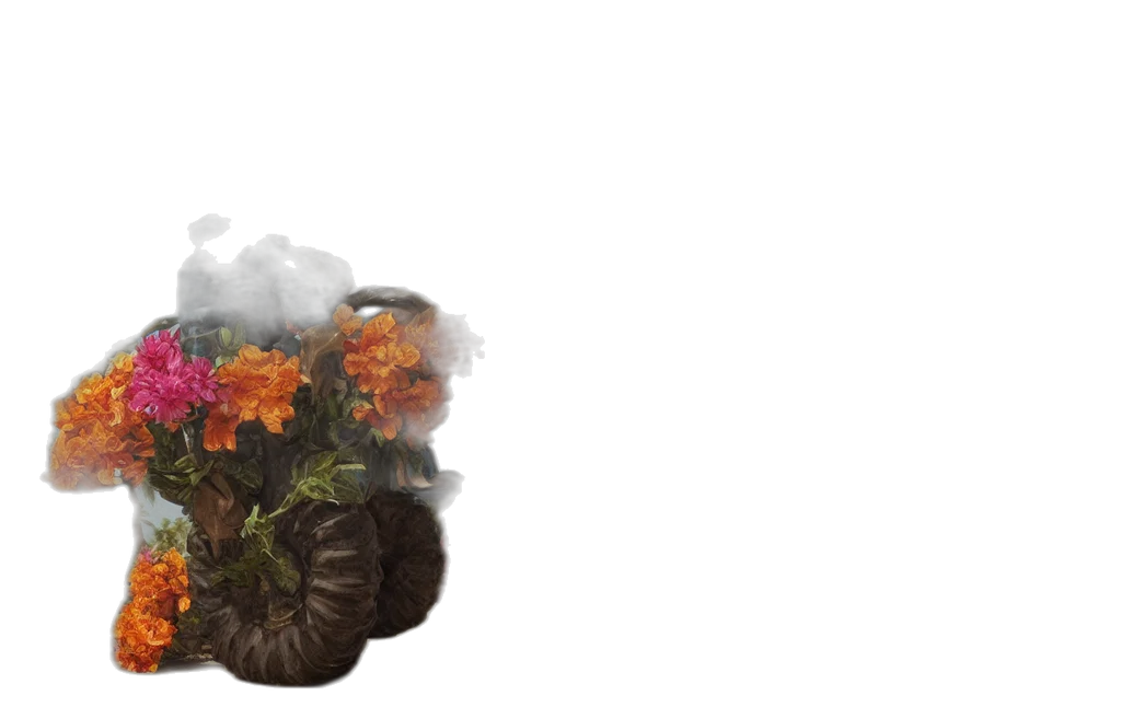 flower, hair, crown, mask transparent PNG cut-out