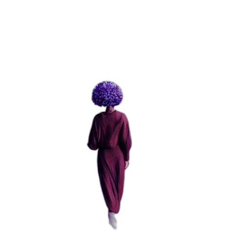 dress, hair, jacket, hat transparent PNG cut-out