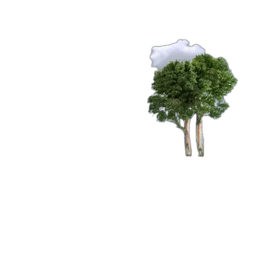 tree, umbrella, crown, bottle, 3d render, pixel art, concept art, photorealistic transparent PNG cut-out