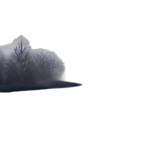 hat, hair, animal, crown transparent PNG cut-out