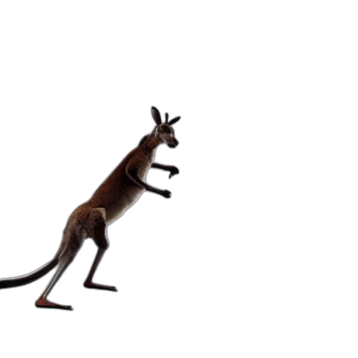 animal, creature, dragon, staff, concept art, 3d render, photorealistic, kangaroo transparent PNG cut-out