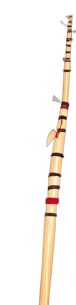 staff, sword, weapon, umbrella transparent PNG cut-out