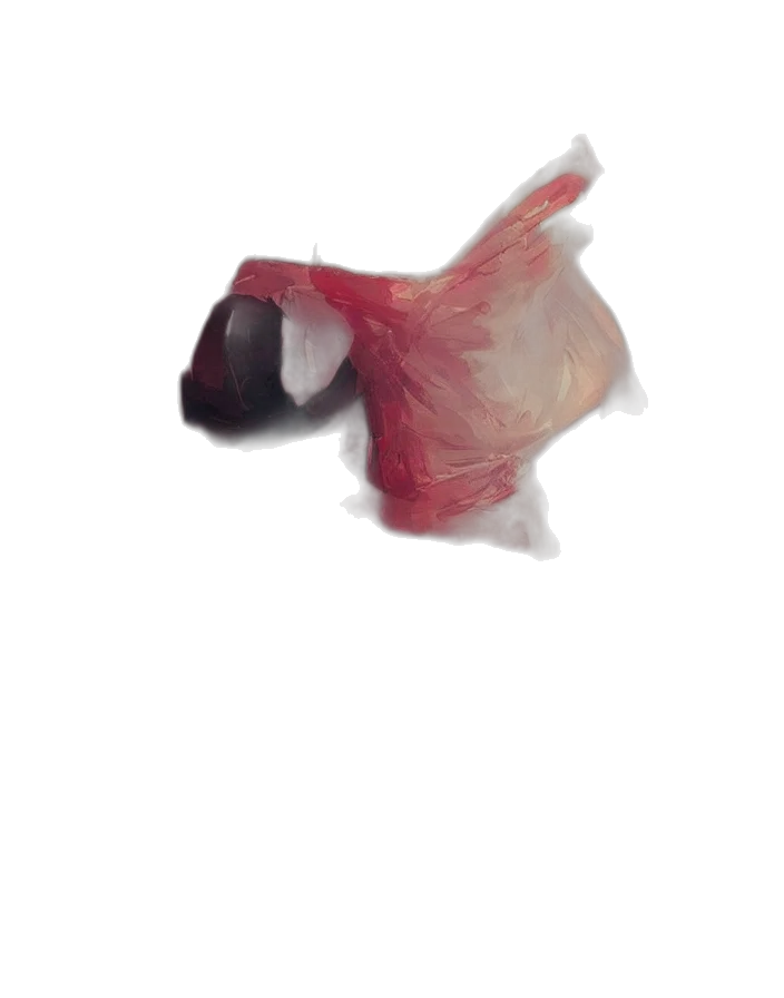 mask, creature, animal, face transparent PNG cut-out