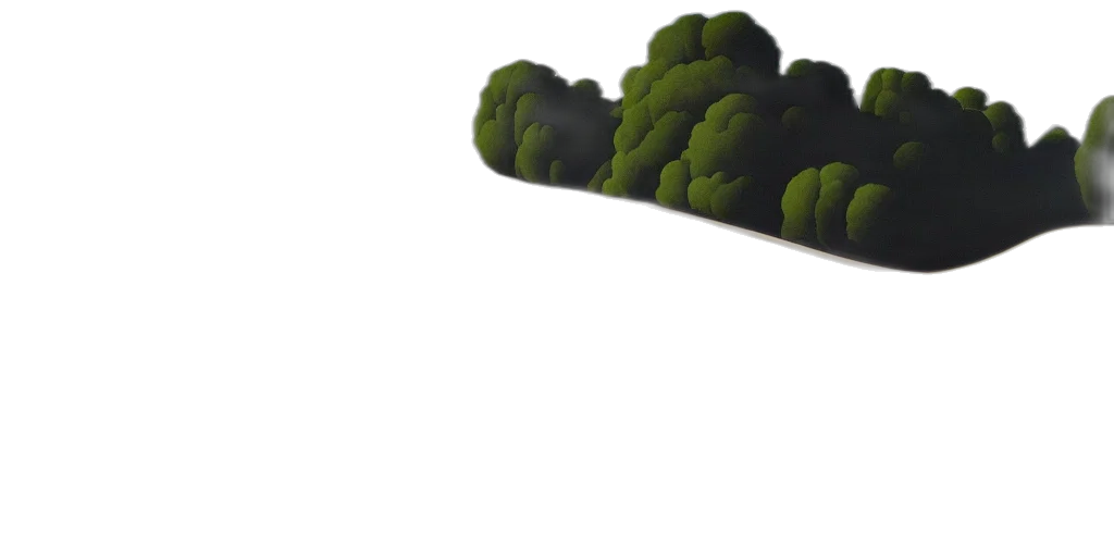 tree, crown, hat, umbrella transparent PNG cut-out