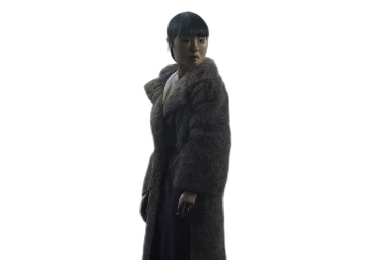 jacket, dress, staff, creature transparent PNG cut-out