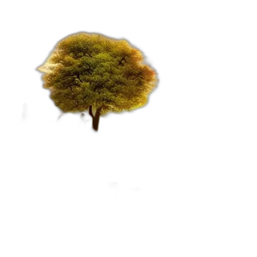 tree, umbrella, hair, crown, photorealistic, 3d render, concept art, pixel art transparent PNG cut-out