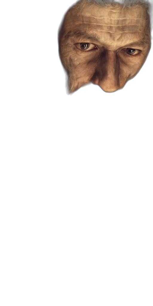 face, mask, animal, creature transparent PNG cut-out