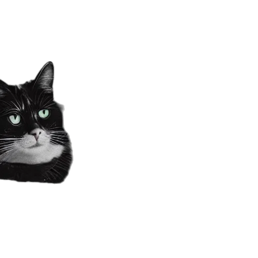 animal, hat, creature, face, pixel art, photorealistic, 3d render, vaporwave transparent PNG cut-out
