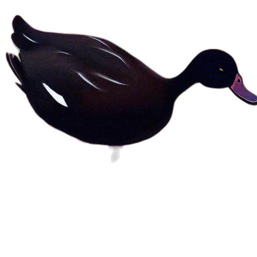 animal, hair, creature, jewelry transparent PNG cut-out