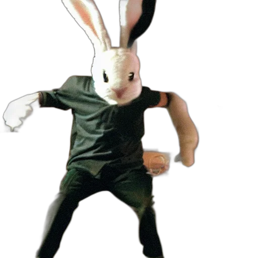 animal, creature, mask, weapon transparent PNG cut-out