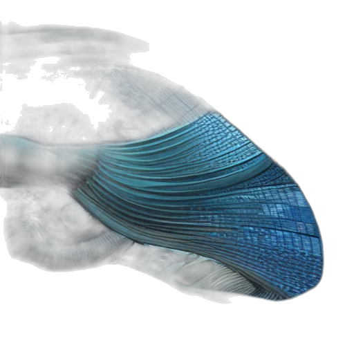 umbrella, hat, hair, mask, 3d render, photorealistic, concept art, underwater transparent PNG cut-out