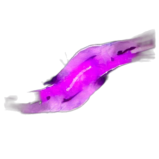 dragon, weapon, hair, staff, concept art, 3d render, vaporwave, fantasy art transparent PNG cut-out