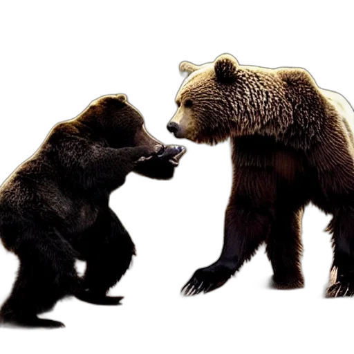 concept art, photorealistic, mma, fighter transparent PNG cut-out