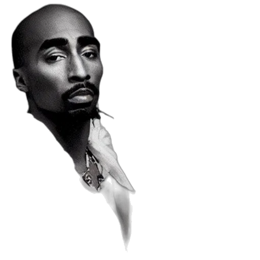 face, photorealistic, concept art, cartoon, comic book art, classical, portrait, tupac transparent PNG cut-out