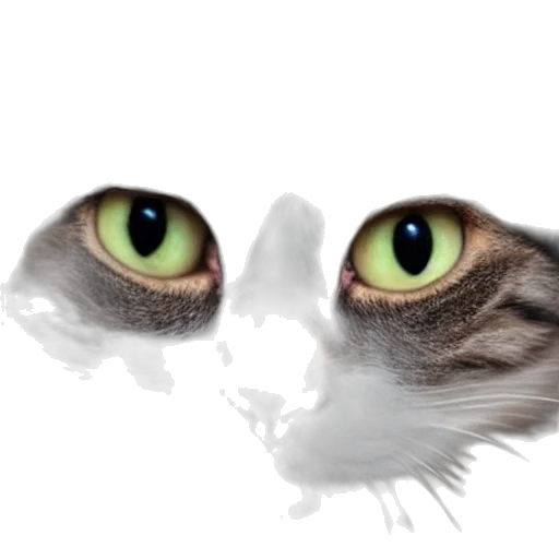 face, creature, animal, mask transparent PNG cut-out