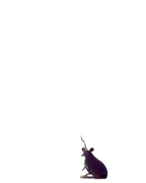 dragon, animal, sword, creature transparent PNG cut-out