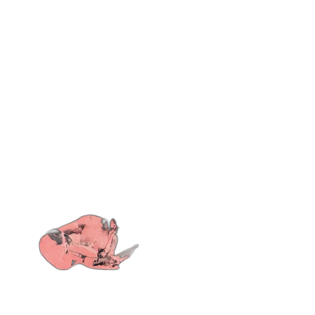 shoes, animal, creature, hat, concept art, 3d render, pixel art, watercolor transparent PNG cut-out