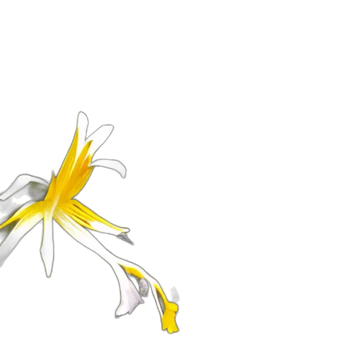 flower, crown, staff, weapon transparent PNG cut-out