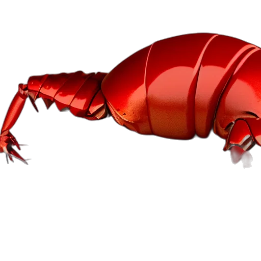 animal, creature, food, weapon, 3d render, concept art, photorealistic, red transparent PNG cut-out